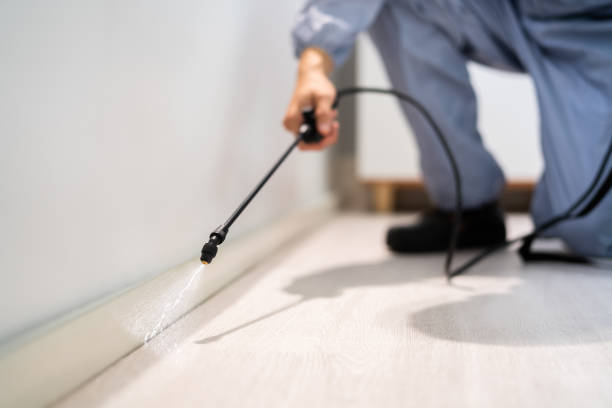 Bed Bug Pre-Treatment Preparation Assessment in Greenock