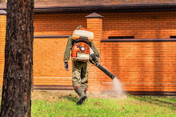 Bed Bug Clearance Verification and Documentation in Greenock